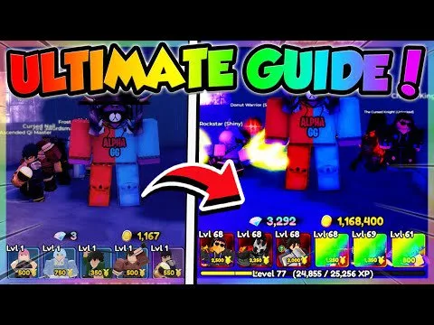Video guides